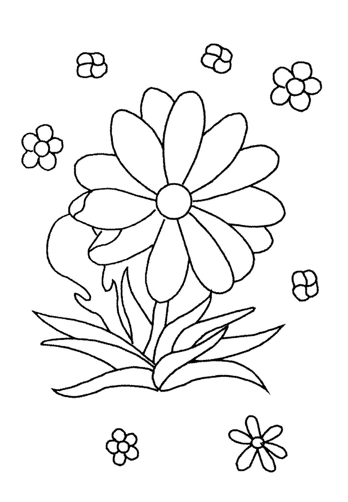 Coloriage d'une marguerite avec des détails floraux et des motifs