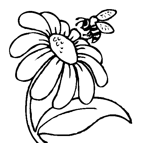 Coloriage d'une marguerite sur fond simple