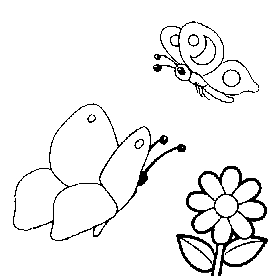 Coloriage d'une marguerite épanouie sur fond simple
