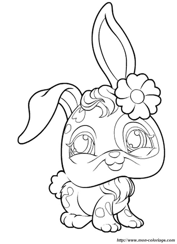 Coloriage d'une marguerite en pleine floraison sur fond simple Coloriage d'une marguerite en pleine floraison sur fond simple