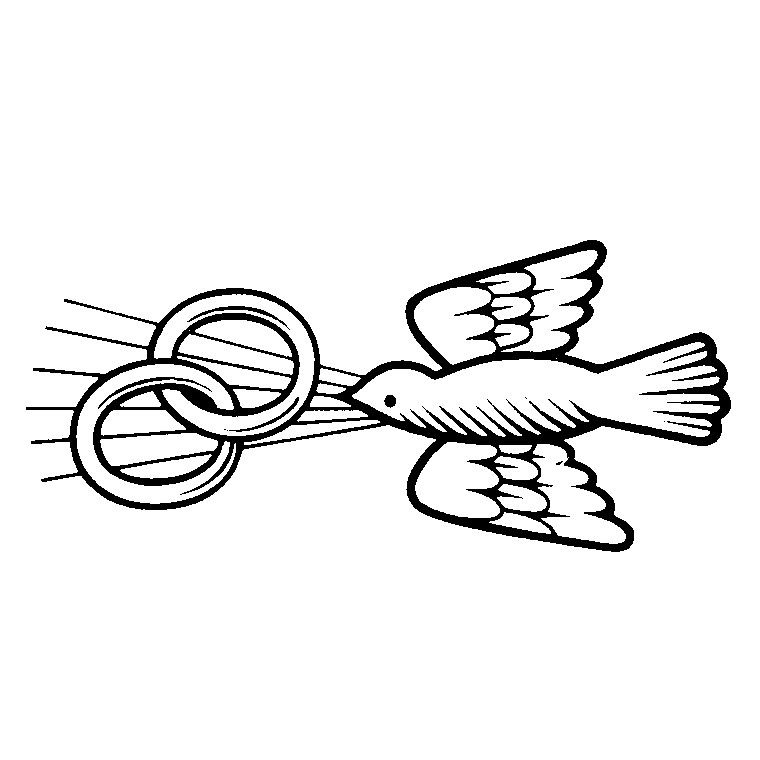 Célébration d'un mariage avec les mariés et leurs invités sous un ciel étoilé