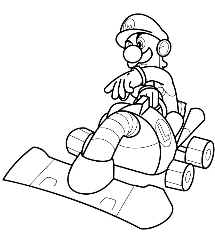 Mario et Luigi en pleine course dans un décor de Mario Kart