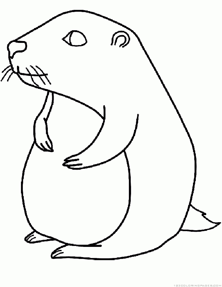 Coloriage d'une marmotte dans son habitat naturel