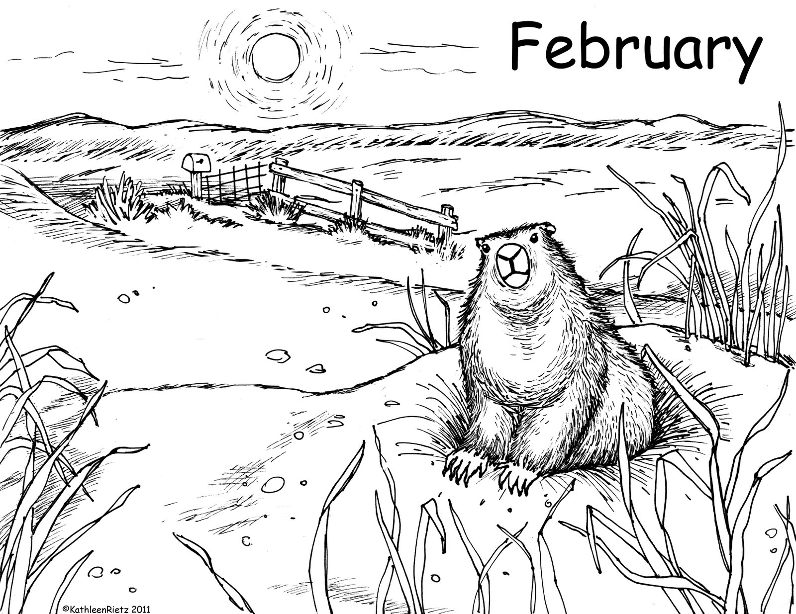 Coloriage d'une marmotte dans son habitat naturel