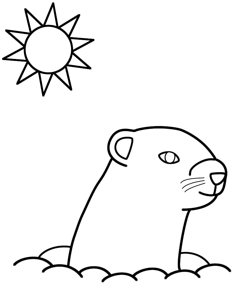 Coloriage d'une marmotte paisible dans son habitat naturel