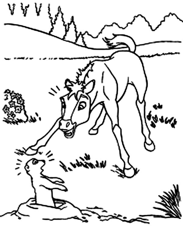 Coloriage d'une marmotte dans son habitat naturel