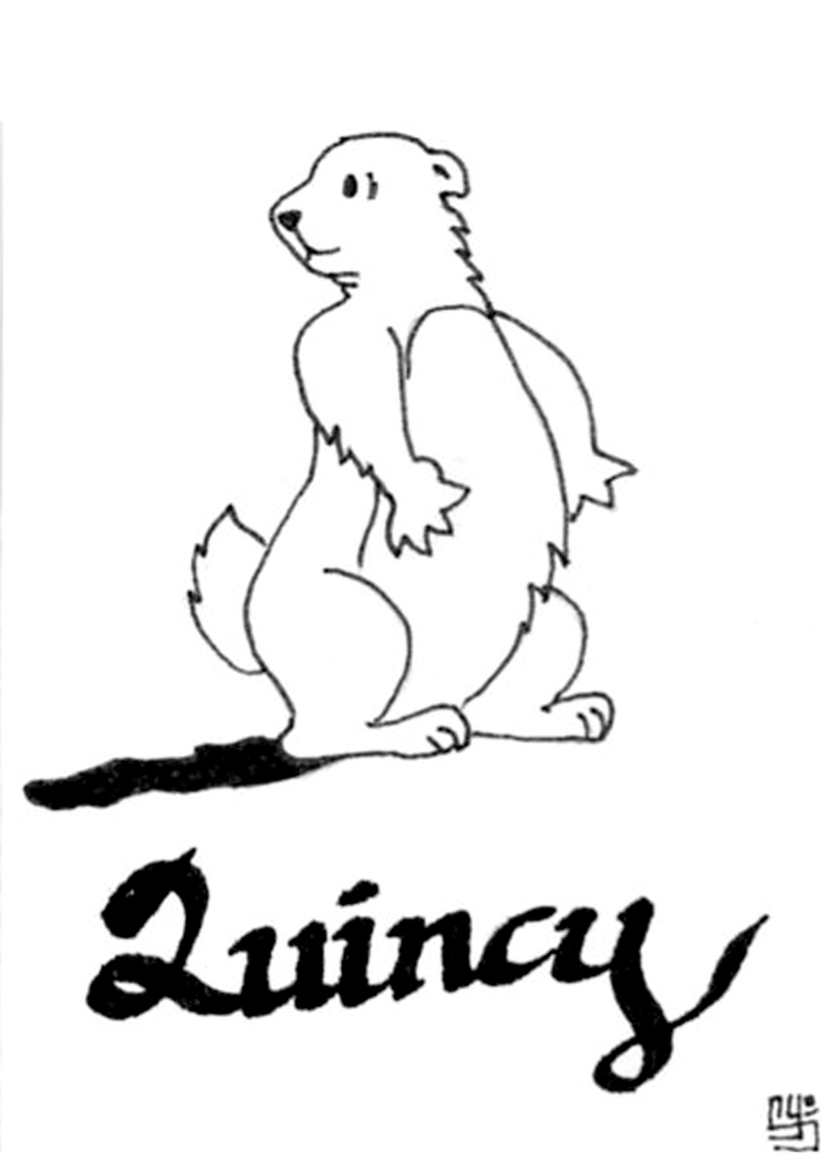 Coloriage d'une marmotte dans son habitat naturel