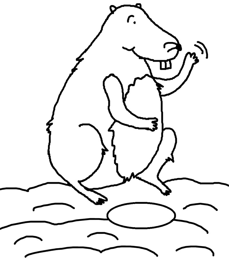 Coloriage d'une marmotte en pleine exploration dans la nature