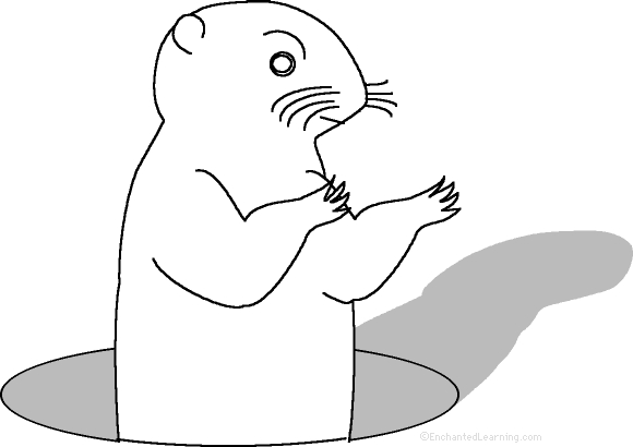 Coloriage d'une marmotte dans un paysage montagneux