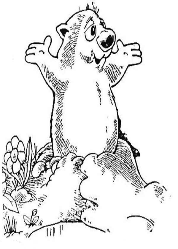 Coloriage d'une marmotte dans un paysage naturel