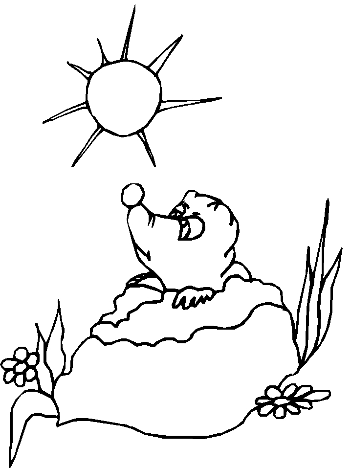 Coloriage d'une marmotte sur un rocher dans son habitat naturel