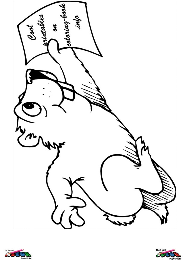 Coloriage d'une marmotte dans un paysage naturel