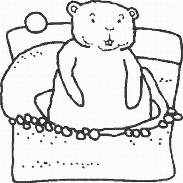 Coloriage d'une marmotte paisible dans son habitat naturel