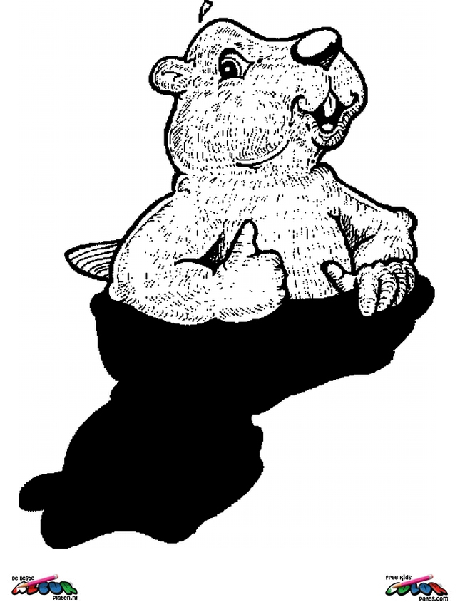 Coloriage d'une marmotte dans son habitat naturel