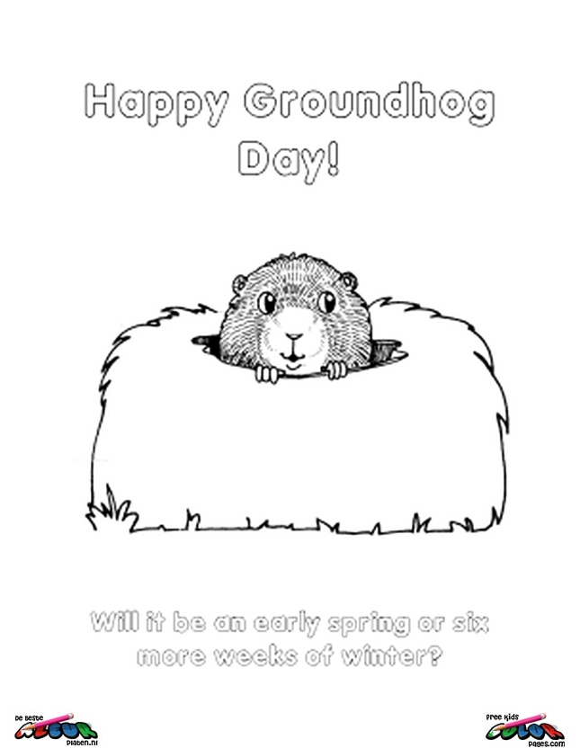 Coloriage d'une marmotte dans son habitat naturel
