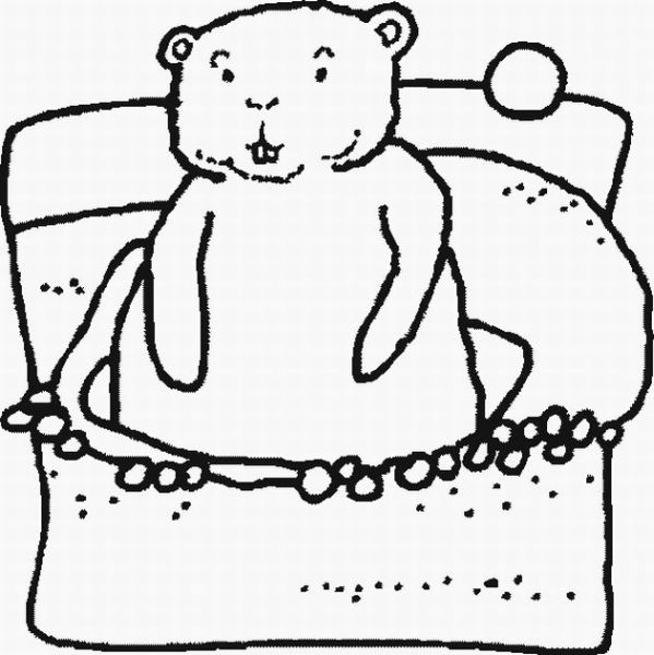 Coloriage d'une marmotte se reposant dans son habitat naturel