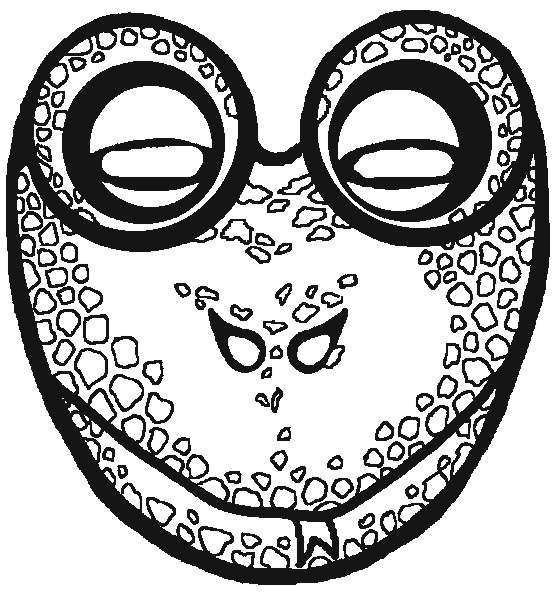 Coloriage d'un masque original avec motifs variés