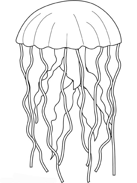 Coloriage d'une méduse flottante dans l'océan