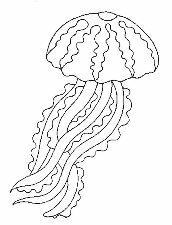 Coloriage d'une méduse flottant dans les profondeurs marines
