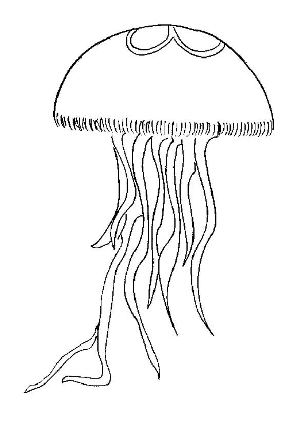 Coloriage d'une méduse flottant dans les profondeurs marines