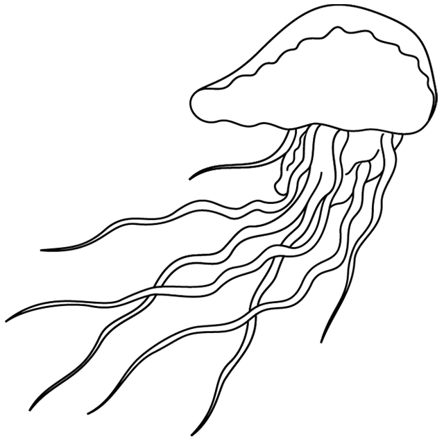 Coloriage d'une méduse élégante évoluant dans l'océan