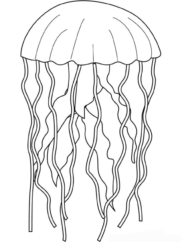 Coloriage d'une méduse flottant dans l'eau