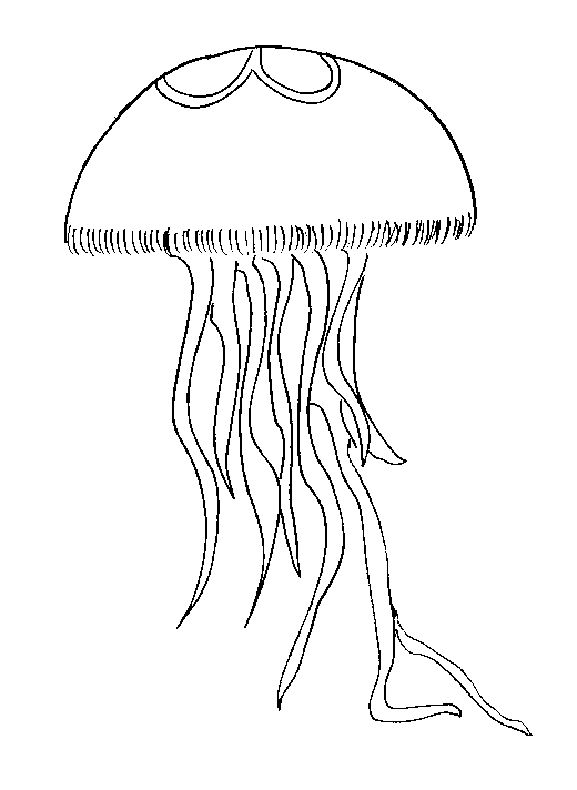 Coloriage d'une méduse flottant dans l'eau