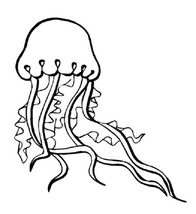 Coloriage d'une méduse flottant dans l'eau avec des motifs