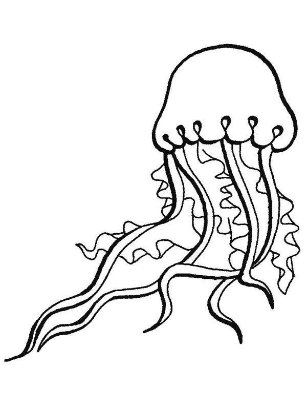 Coloriage d'une méduse flottant dans l'océan
