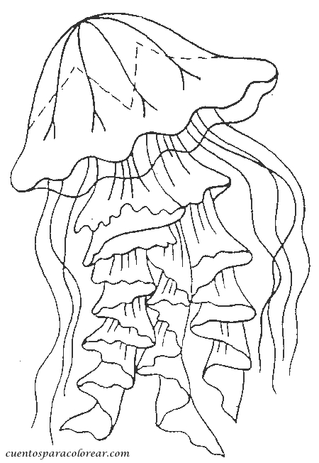 Coloriage de méduse évoluant dans un décor aquatique