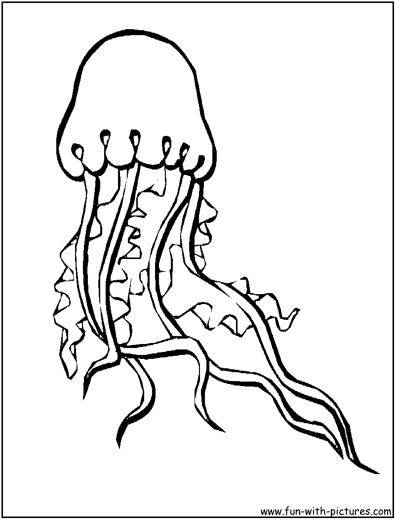 Coloriage d'une méduse flottant dans l'eau