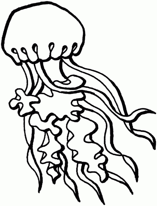Coloriage d'une méduse élégante dans un environnement marin