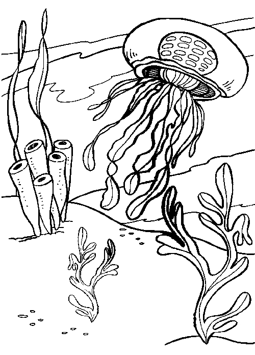 Coloriage d'une méduse flottant dans l'océan