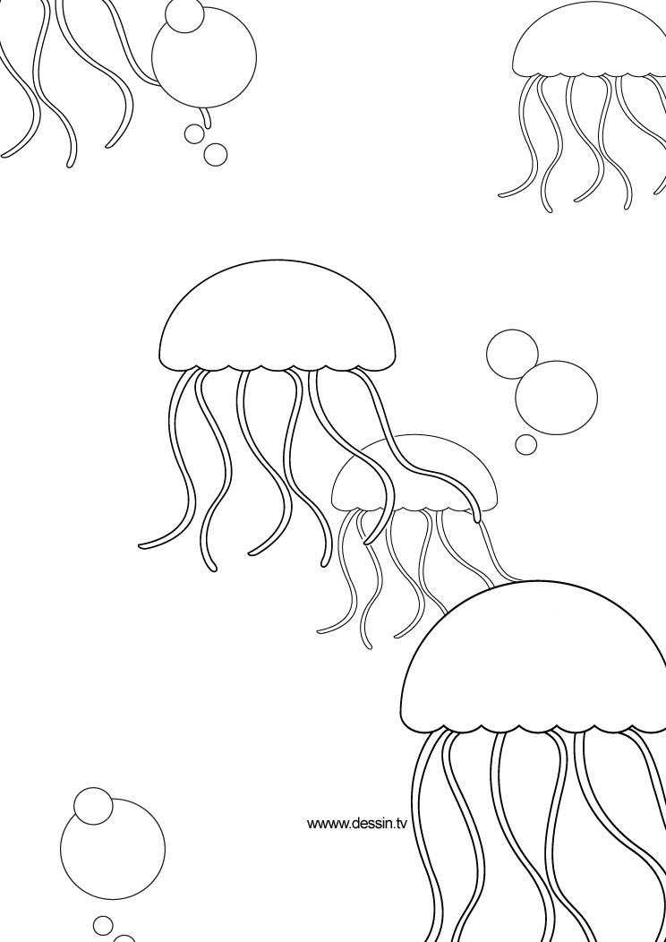 Coloriage d'une méduse évoluant dans l'eau