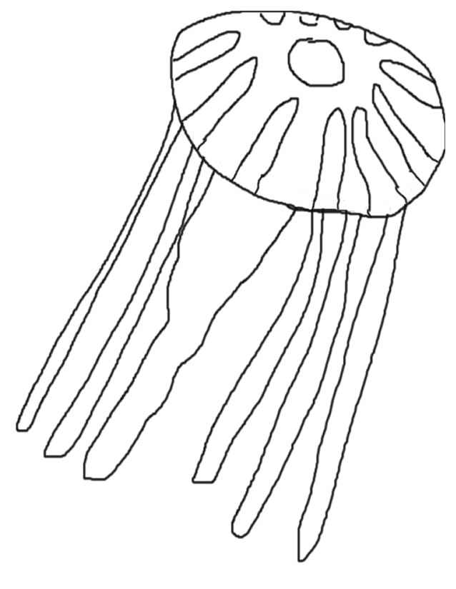 Coloriage d'une méduse gracieuse évoluant dans l'océan