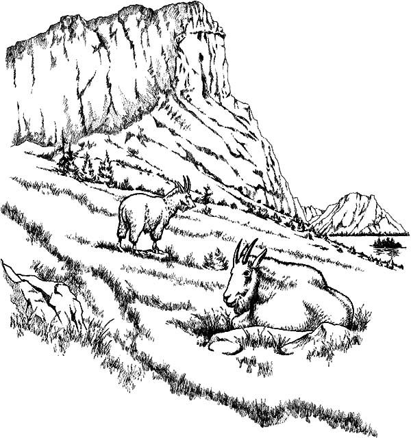 Coloriage d'une montagne majestueuse avec des arbres en premier plan