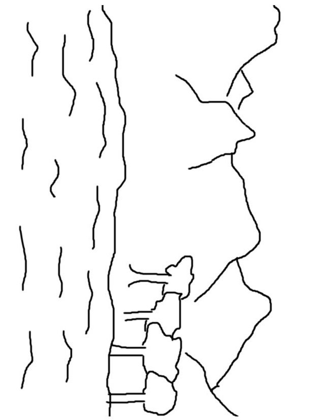 Coloriage d'une montagne majestueuse sous un ciel étoilé