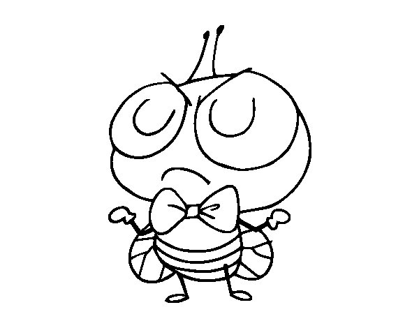 Coloriage d'une mouche posée sur une feuille