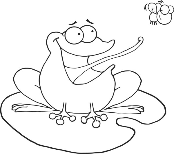 Coloriage d'une mouche posée sur une feuille