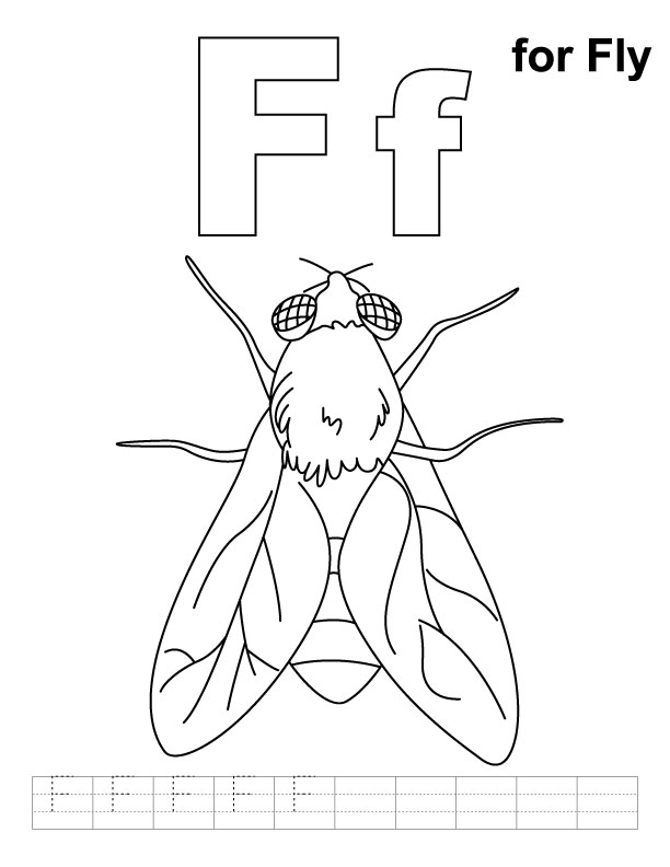 Coloriage d'une mouche sur un fond simple