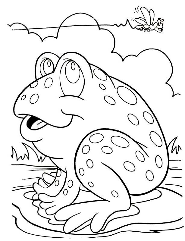 Coloriage d'une mouche sur une feuille