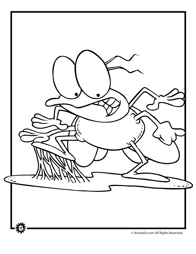 Coloriage d'une mouche posée sur une feuille