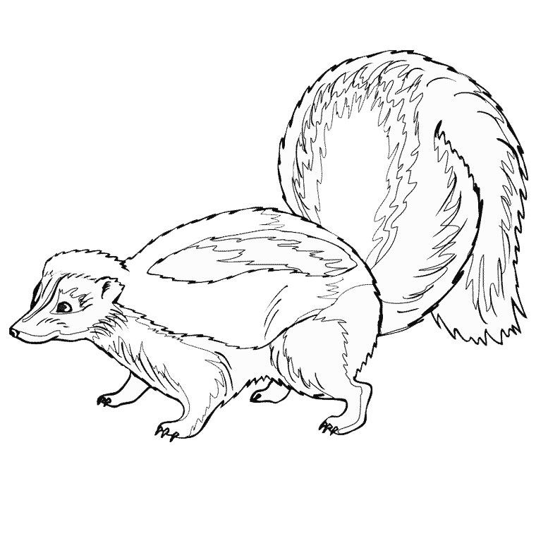 Coloriage d'une moufette au milieu de la nature