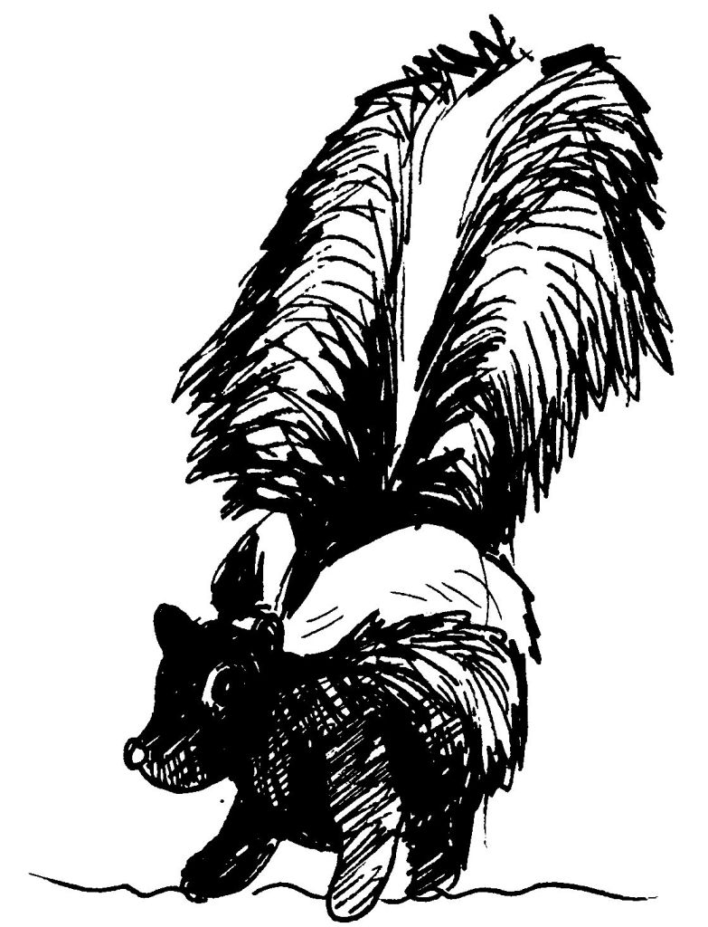 Un coloriage de moufette dans un décor naturel