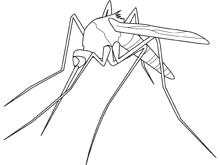 Coloriage d'un moustique en vol, sur fond de nature