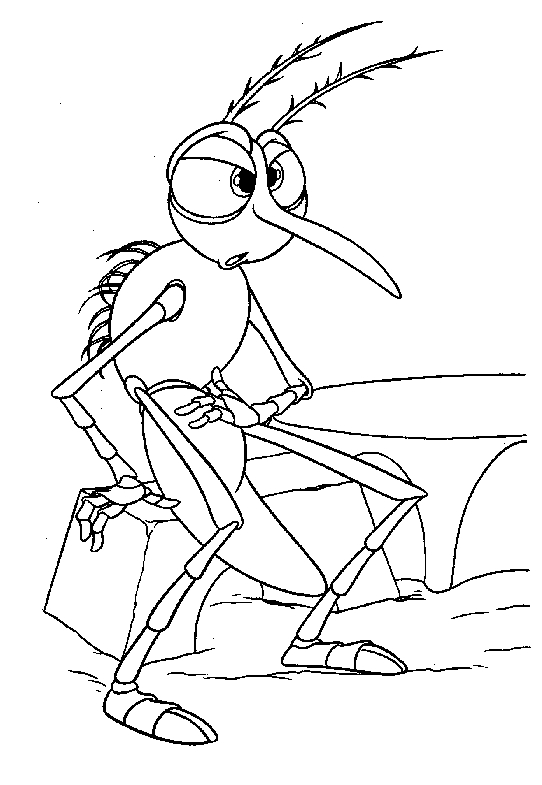 Coloriage d'un moustique avec des détails variés