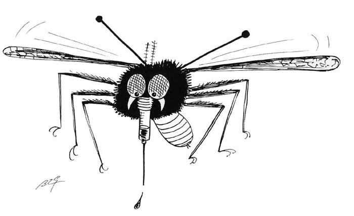 Un moustique en pleine vol à colorier