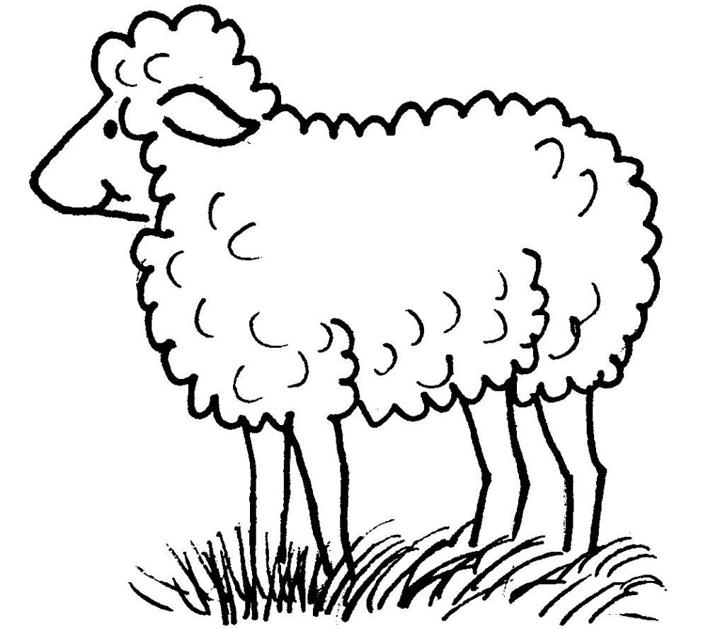 Un mouton curieux dans un champ verdoyant