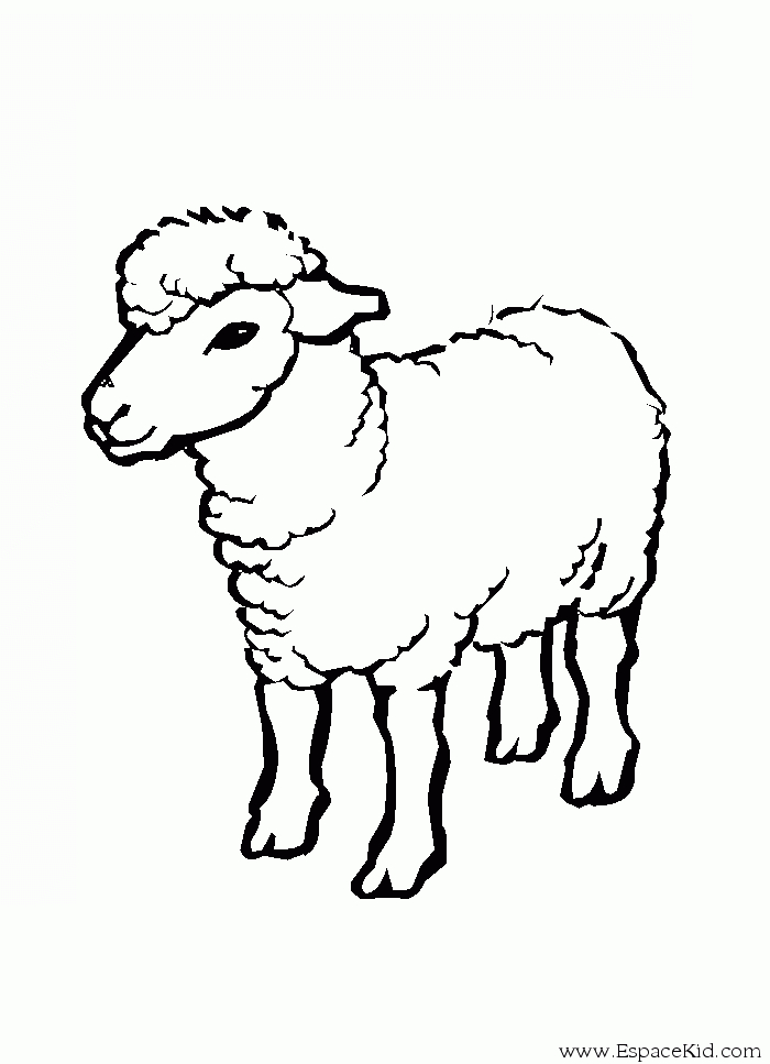 Un mouton paisible se reposant dans un champ verdoyant