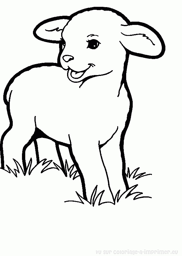 Un mouton paisible dans un champ verdoyant